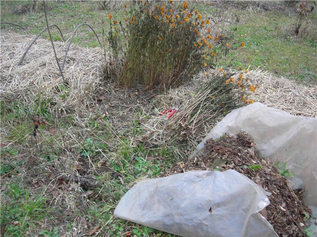 arčilend